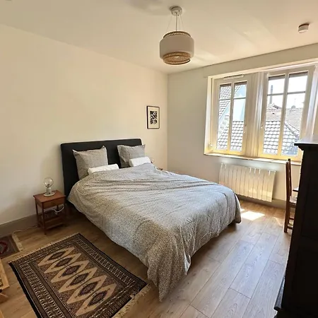 Apartment Cozy In The Heart Of The Brewery Town Schiltigheim