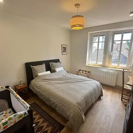 Apartment Cozy In The Heart Of The Brewery Town Schiltigheim