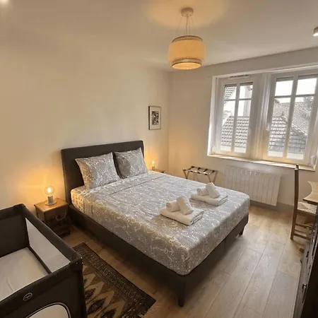 Cozy In The Heart Of The Brewery Town Daire Schiltigheim